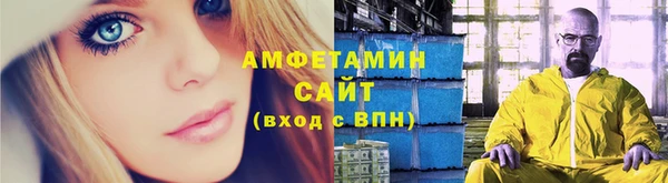 прущие грибы Дмитриев