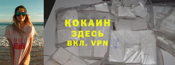 прущие грибы Дмитриев