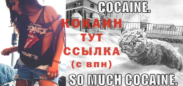 тгк Дмитровск