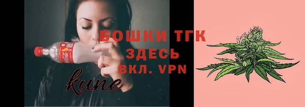 молекула духа Санкт-Петербург