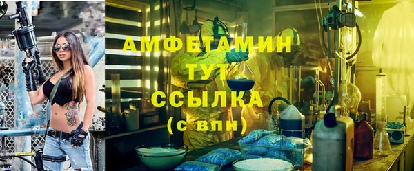 прущие грибы Дмитриев