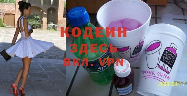 прущие грибы Дмитриев