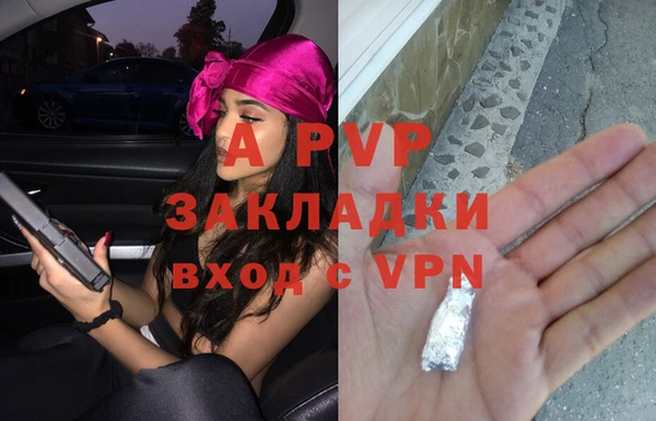 прущие грибы Дмитриев