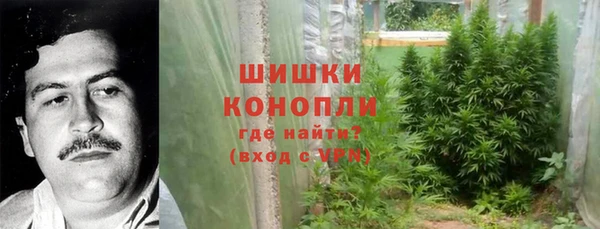 бошки Новозыбков